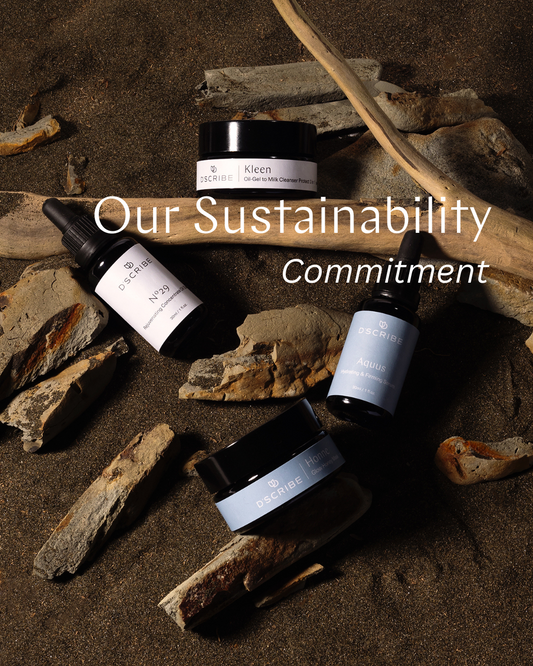 World Environment Day and Our Commitment to Sustainability